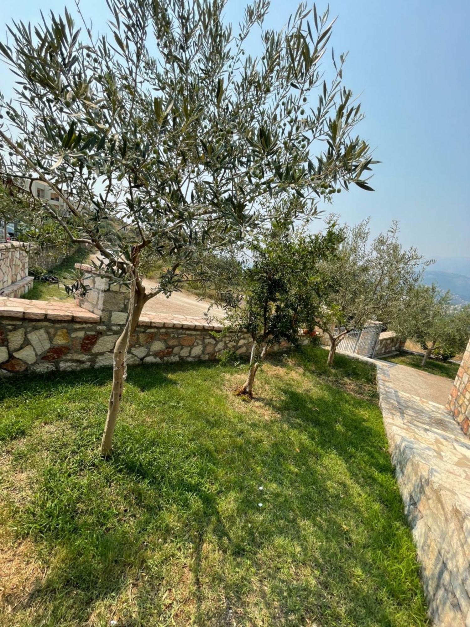 Apartment Belvedere Hotel&suites Himarë